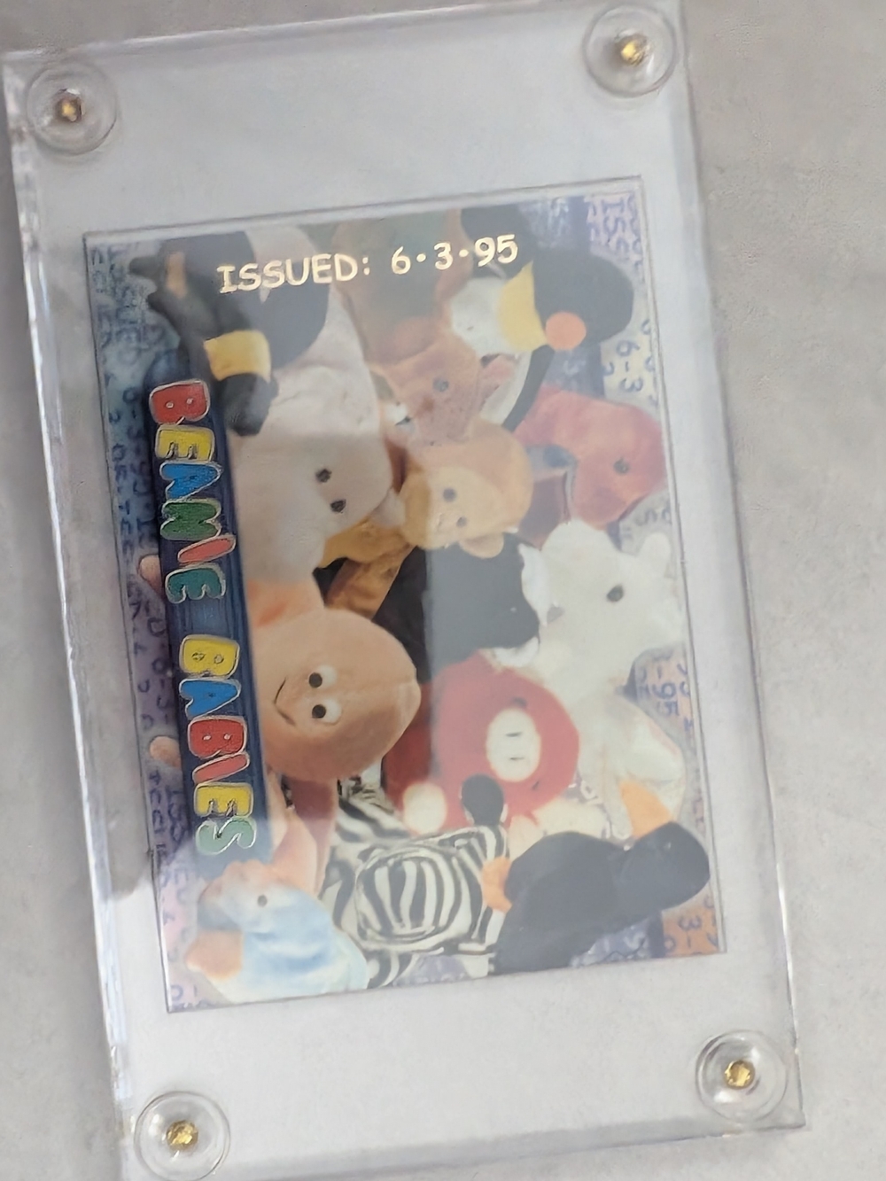 TY Beanie Babies Rare Collectible Trading Card Encased ~ Issued: 6-3-1995